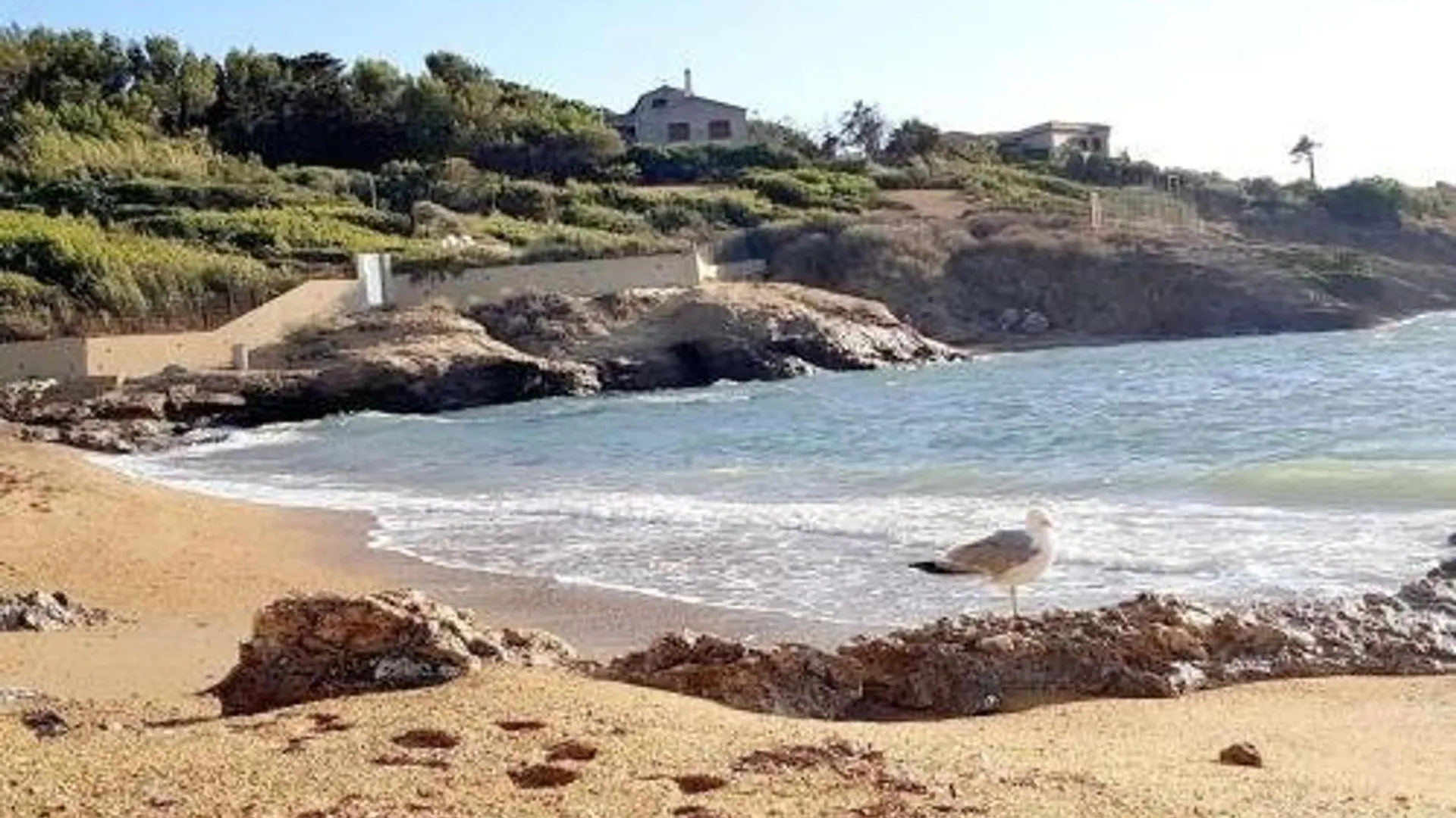 Apartment Appartement T3 Au Calme A 600 M Des Plages Avec Parking, Wi-Fi Et Equipements Modernes - Fr-1-316-331 Six-Fours-les-Plages